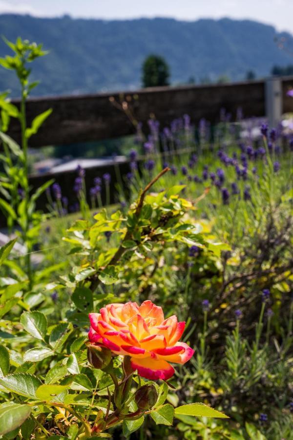Wohnung Seeblick Sattendorf Dış mekan fotoğraf